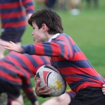 Rugby, fútbol y muchos más deportes